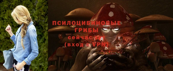 мяу мяу мука Михайловск