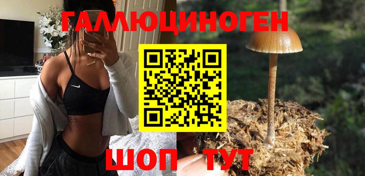 Лениногорск  Галлюциногенные грибы GOLDEN TEACHER  Вход с VPN 